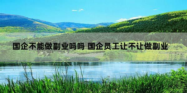 国企不能做副业吗吗 国企员工让不让做副业